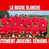 la-roche-blanche-12